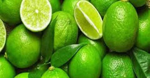 গফরগাঁওয়ে লেবুর দাম কেজি প্রতি ১৫০ টাকা