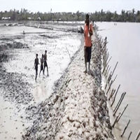 জলবায়ু পরিবর্তনের প্রভাব: সংকটে উপকূলের ২২ শহর, অতিরিক্ত জনচাপে ধুঁকছে নগরজীবন